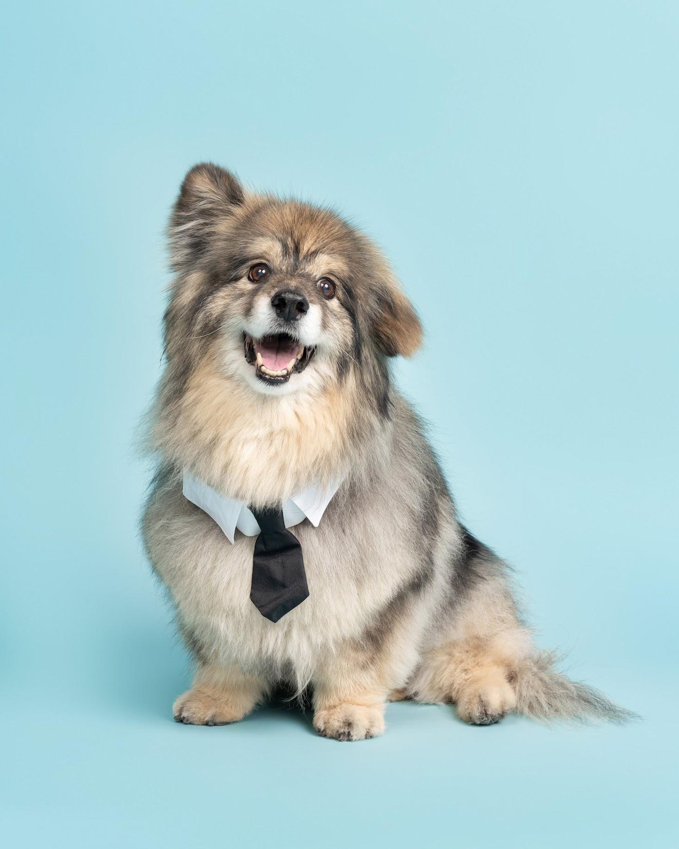 The Wedding Website of Emily Krupin and Jake Flynn