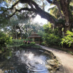 Washington Oaks Gardens State Park