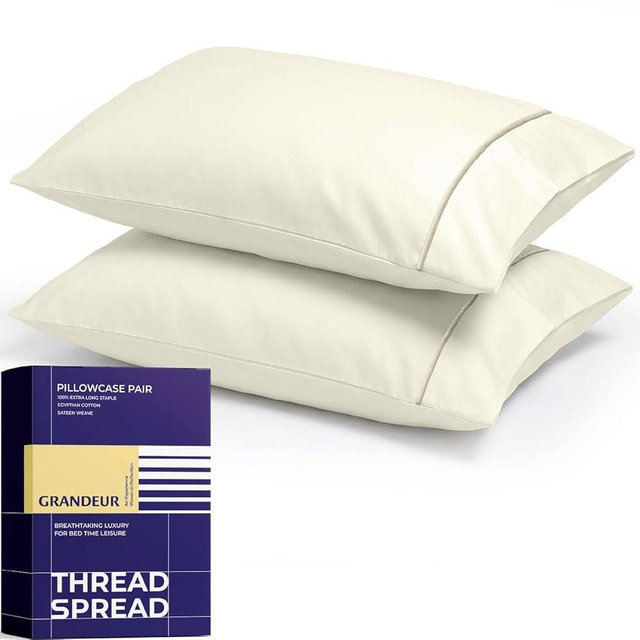 THREAD SPREAD 100% Egyptian Cotton King Pillowcases Set of 2 - Luxury 2000 Series Cotton Pillow Cases, Soft Breathable Sateen Weave, Envelope Closure Hotel Quality Pillowcase (21" x 41", Ivory)