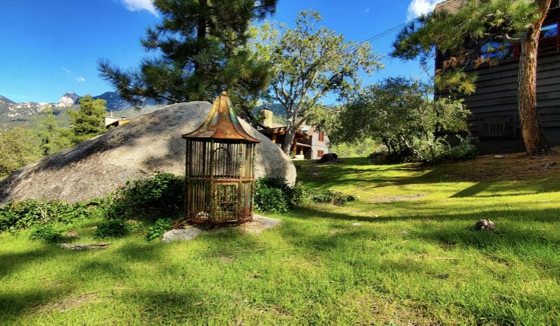 The Wedding Website of Patty Dill and Don Raridon