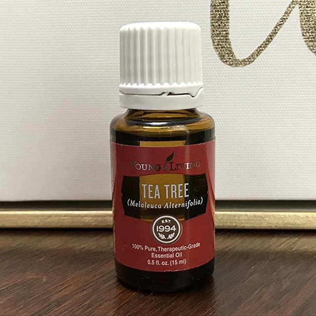Tea Tree (Melaleuca Alternifolia) Essential 15ml Oil by Young Living Essential Oils