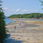 Walk the Land Bridge to Bar Island