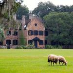 Middleton Place