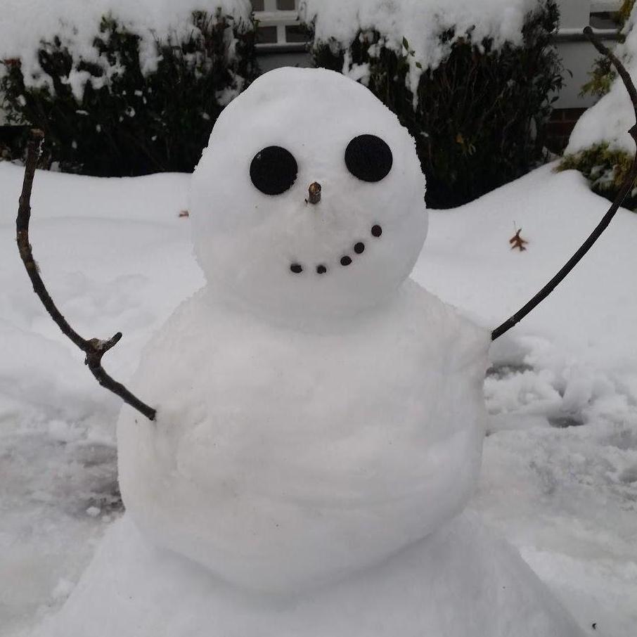 First snowman we built together since Boone! Hillsborough got enough snow in 2018 to build a friend. There was plenty for sledding in the neighborhood too!