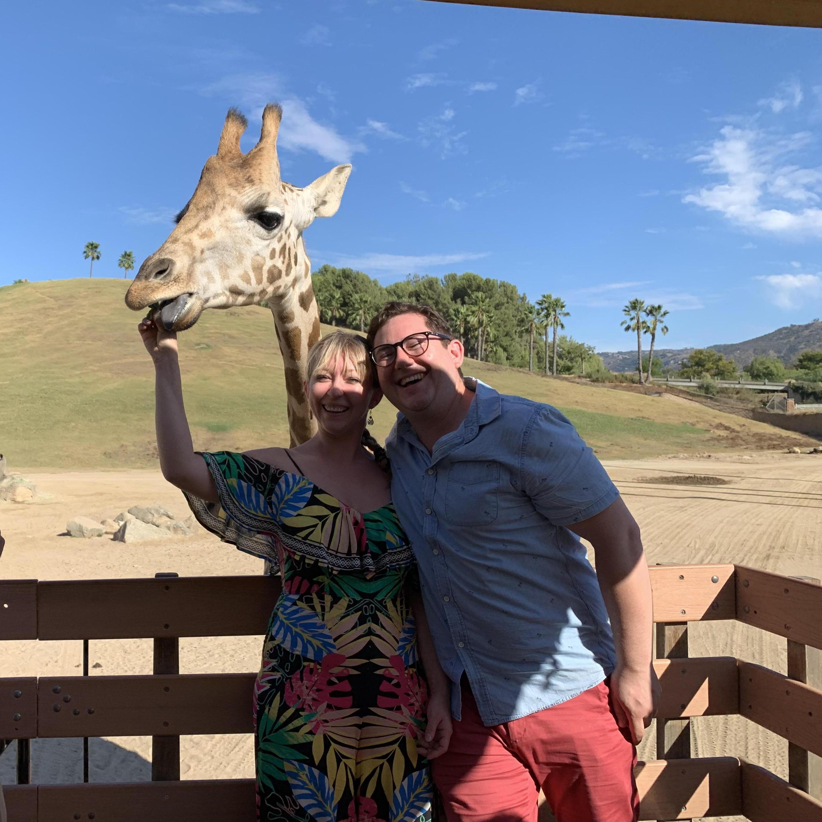 Lunch with a giraffe at the San Diego Zoo Safari Park