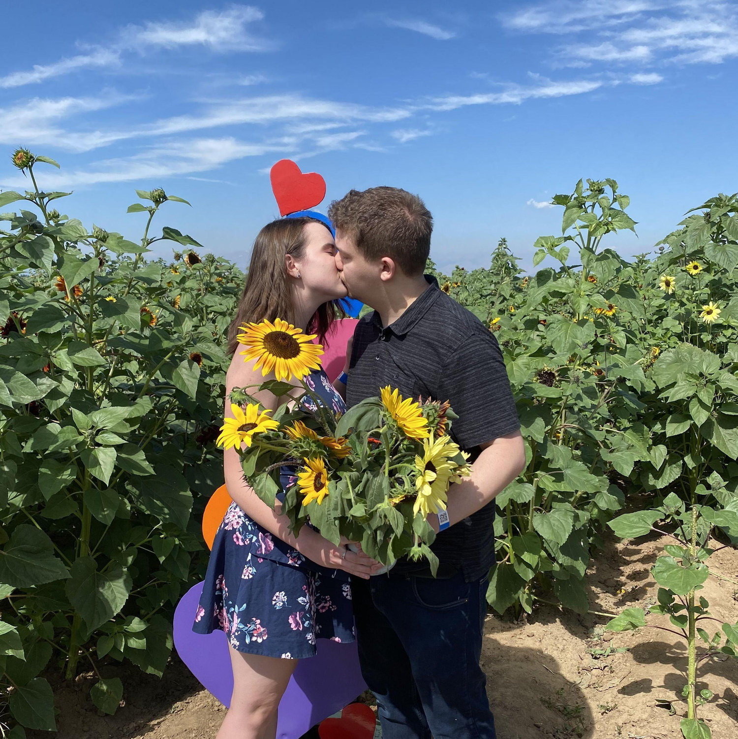 Picking sunflowers together