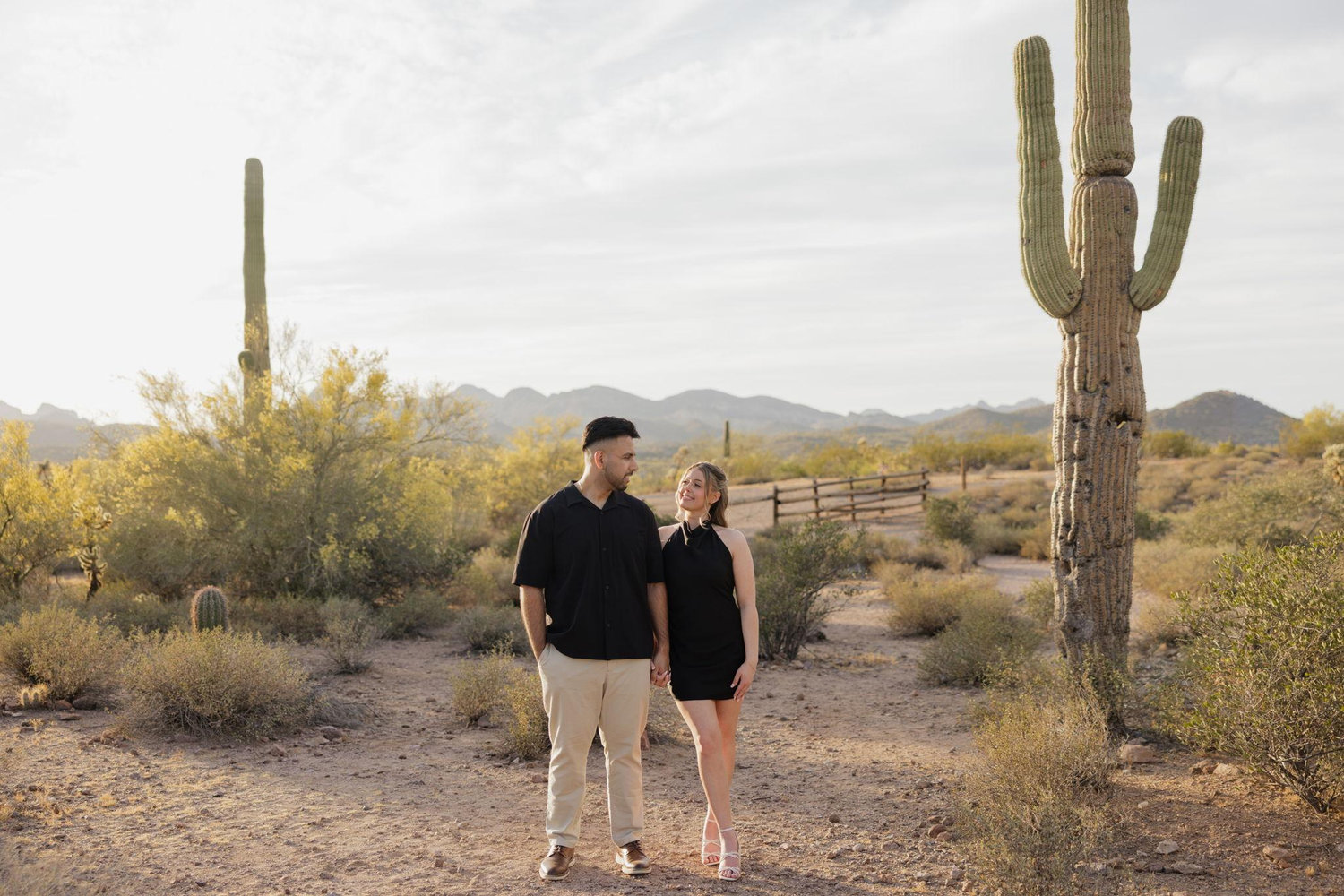 The Wedding Website of Amanda Marino and Aibtesam Chaudhary