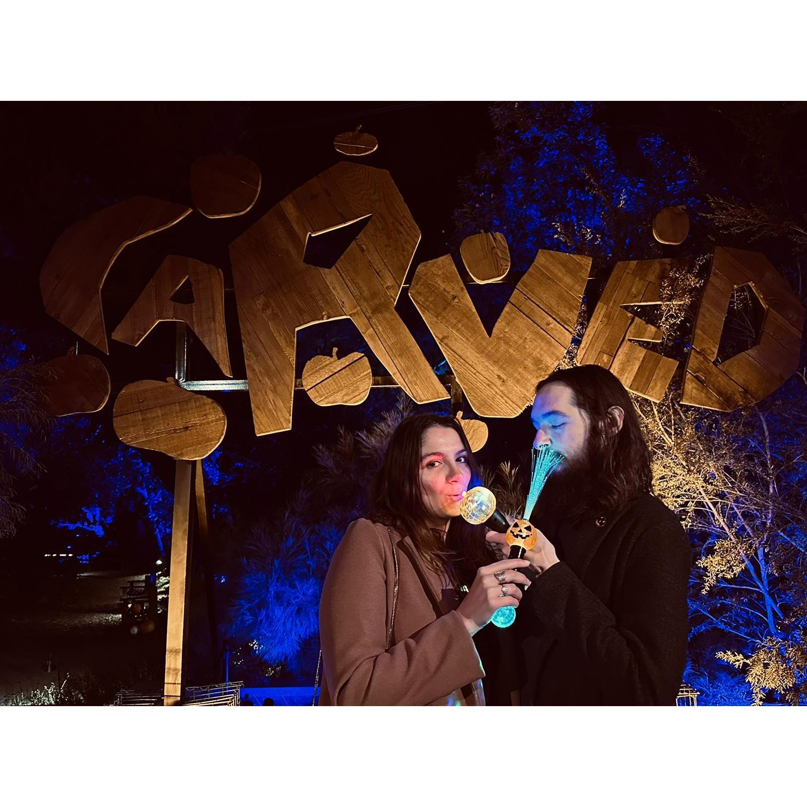 When we admired the most talented pumpkin carvers