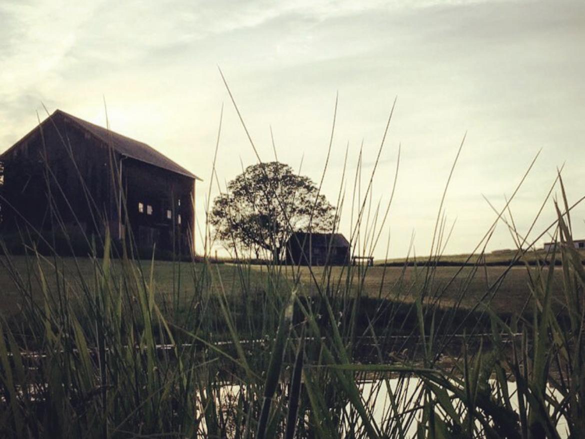 The Wedding Website of Stephanie Stoughton and Nathan Zuroski