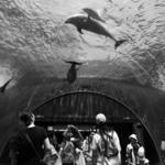 National Aquarium