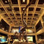 Houston Museum of Natural Science