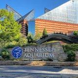 Tennessee Aquarium