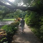 Bellingrath Gardens and Home