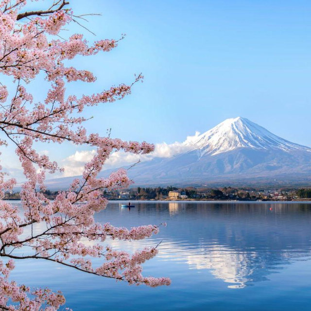 Full-Circle Honeymoon to Japan