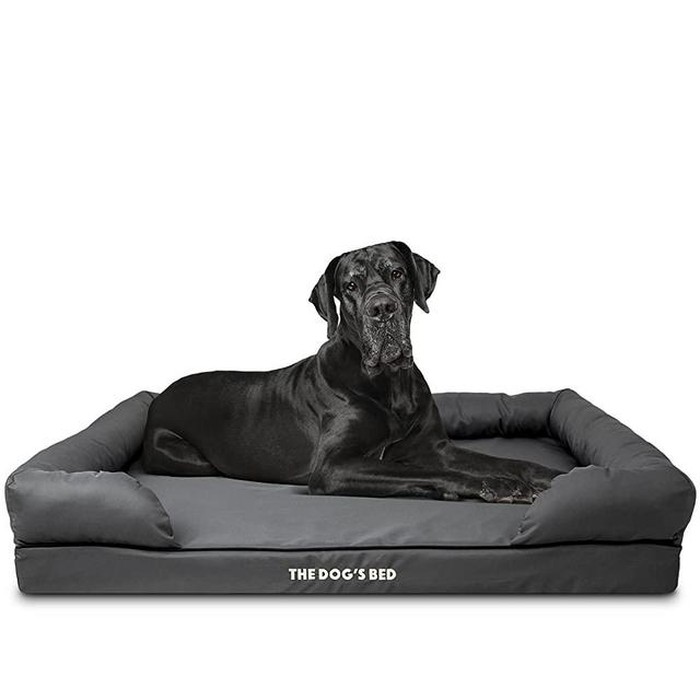 The Dog’s Bed Orthopedic Dog Bed, Large Dog Bed, Extra Large Dog Bed, Solid Memory Foam Addresses Senior Support, Post Surgery Recovery, Lameness, and Illness, Waterproof Washable Covers, Sizes S-XXL