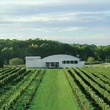 Saltwater Farm Vineyard