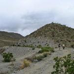 The Bump & Grind Trail