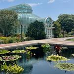 Tour the Brooklyn Botanic Garden