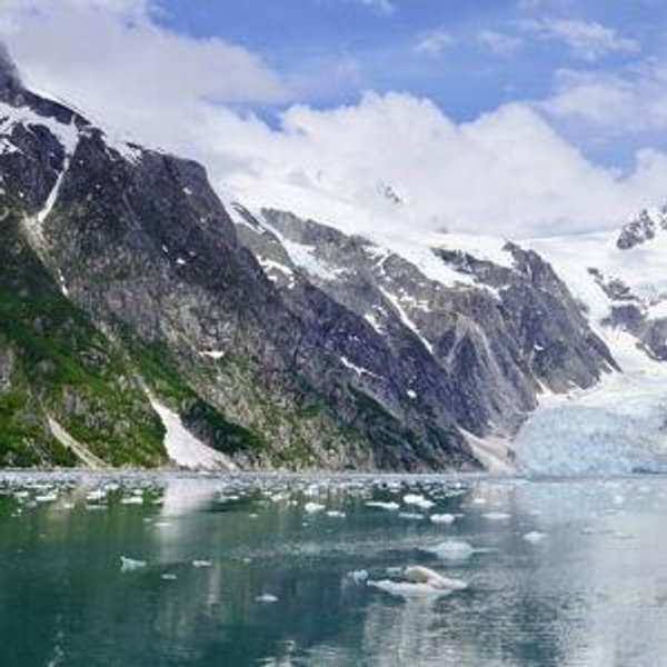 Kenai Fjords Boat Tour