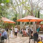 Kivelstadt Cellars & WineGarden