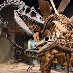 Denver Museum of Nature & Science