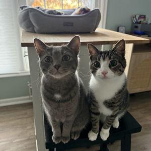 Luna & Theo Fund