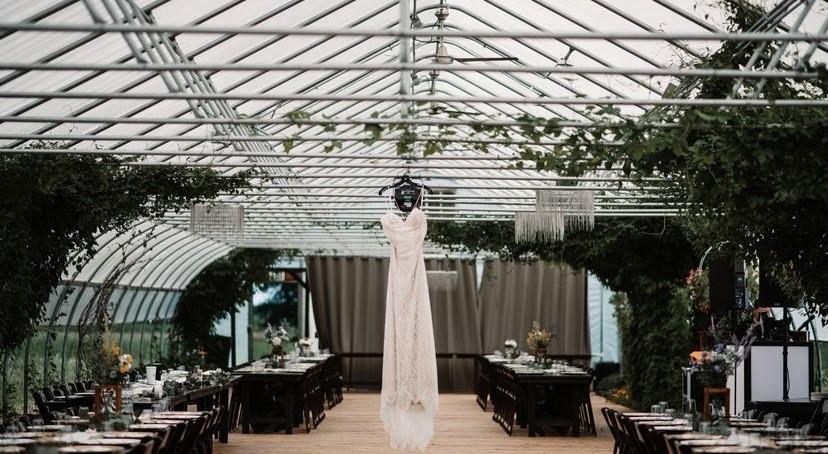 The Wedding Website of Courtney Fox and Mitchell Nikolaas