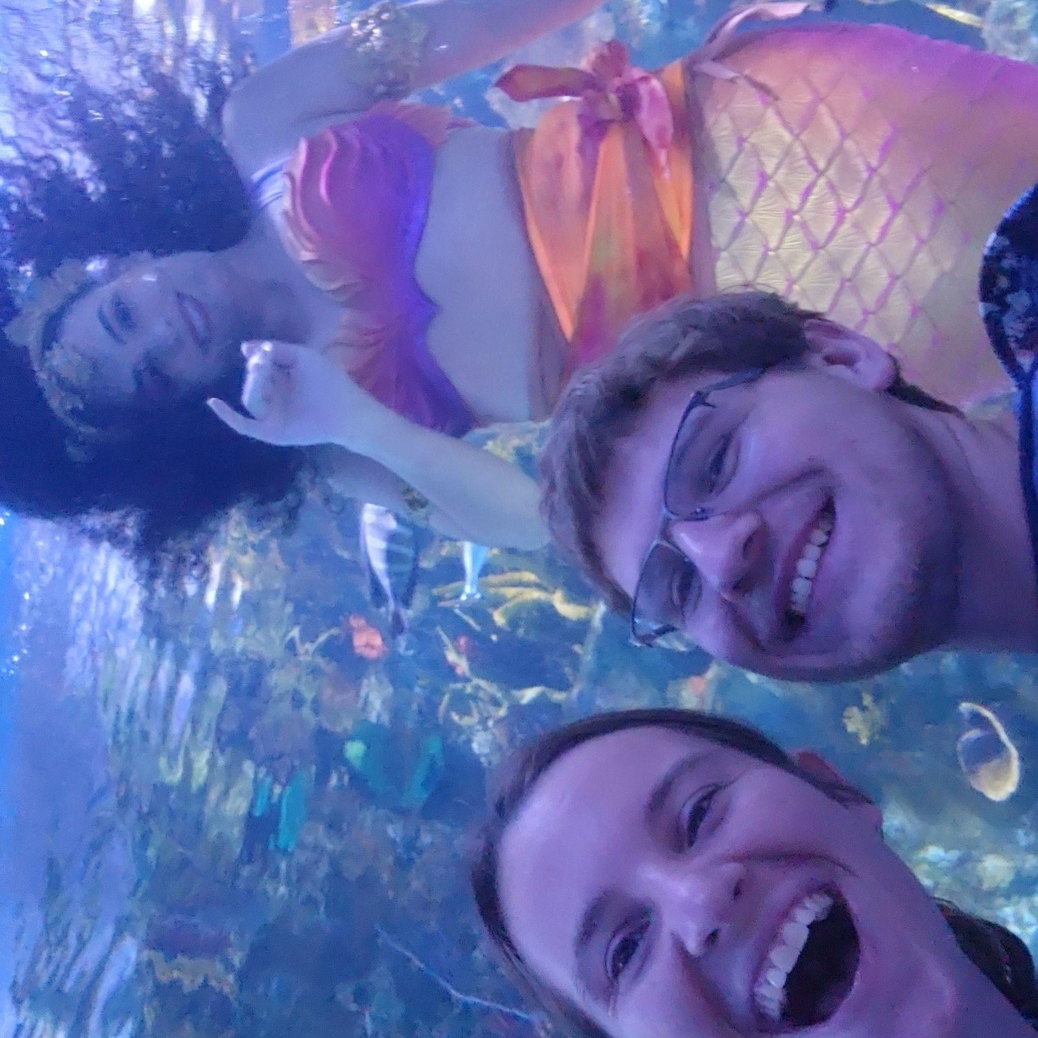 Mermaid at the Newport Aquarium!