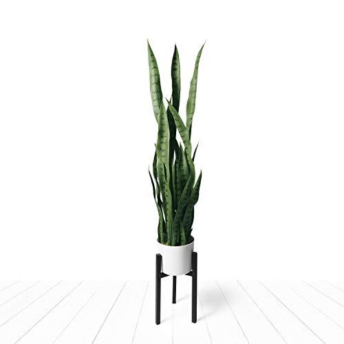 Artificial Snake Plant Fake Sansevieria Plants 38 Inch Tall 28 Faux Green Lifelike Leaves Non Toxic Pet Friendly Modern White Pot Rust Free Plant Stand For Indoor Outdoor Home Office Floor decor