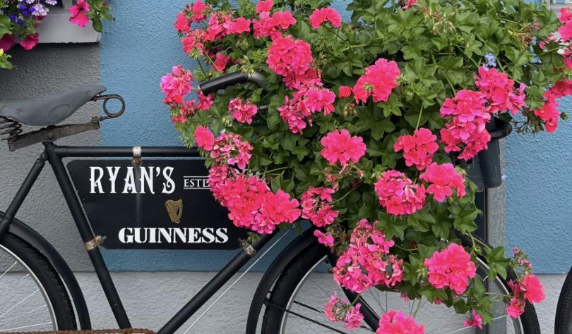 The Wedding Website of Baylee Grider and Daniel Ryan