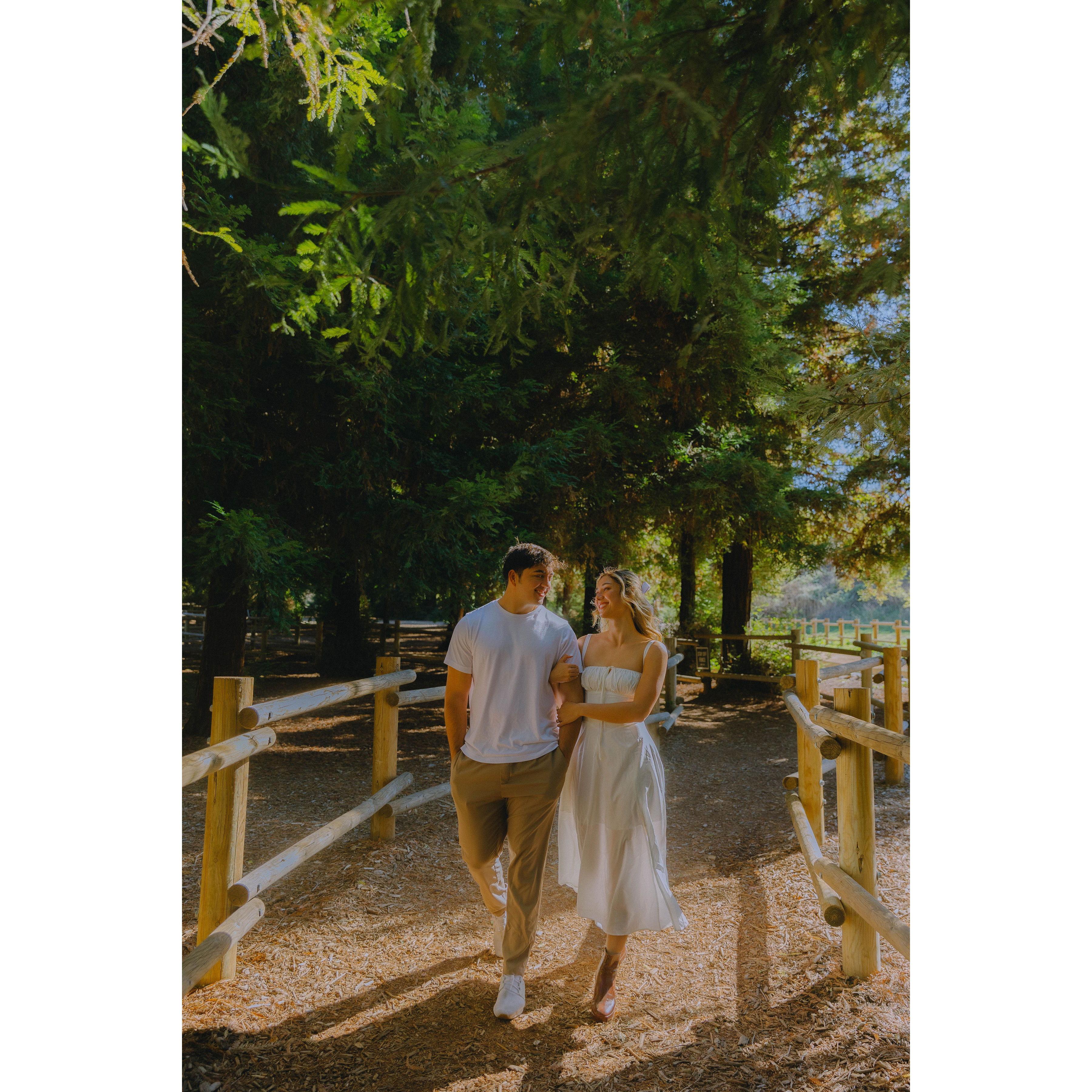 Engagement Shoot