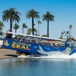 San Diego Seal Tours