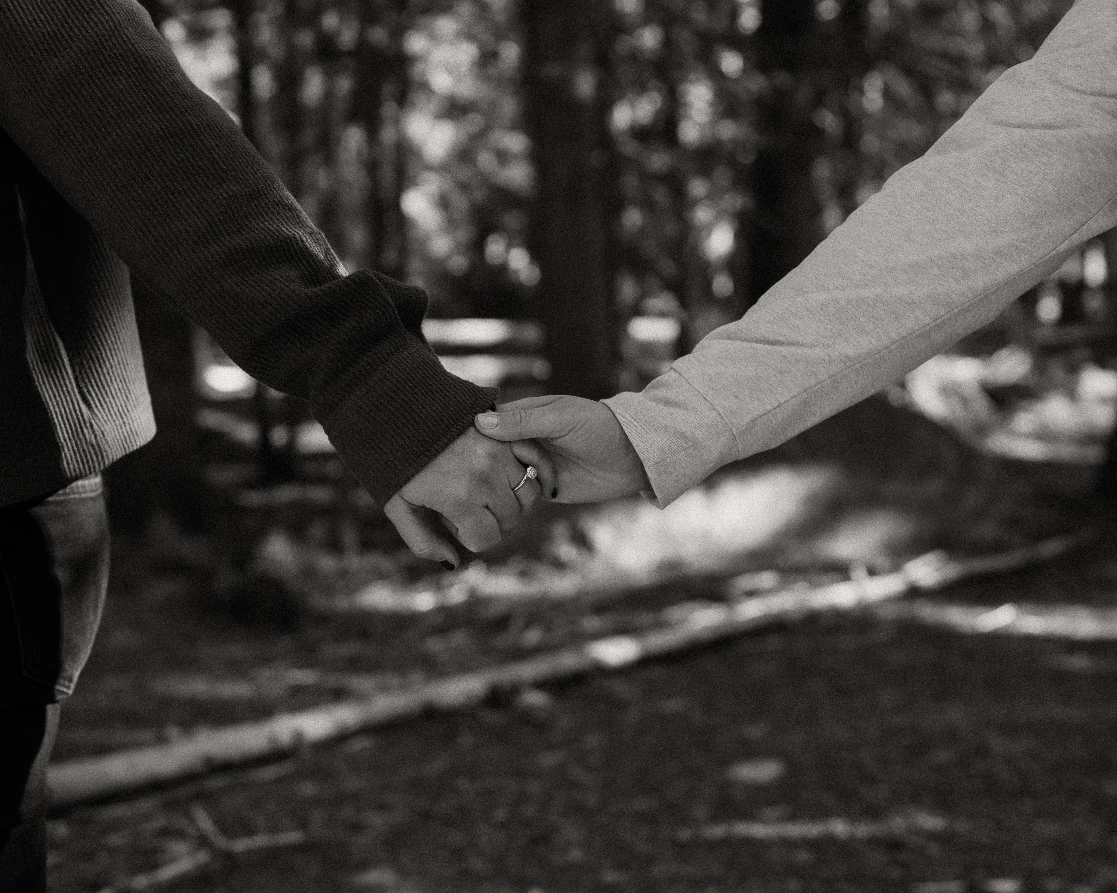 The Wedding Website of Megan Eastabrook and Lauren Sierra