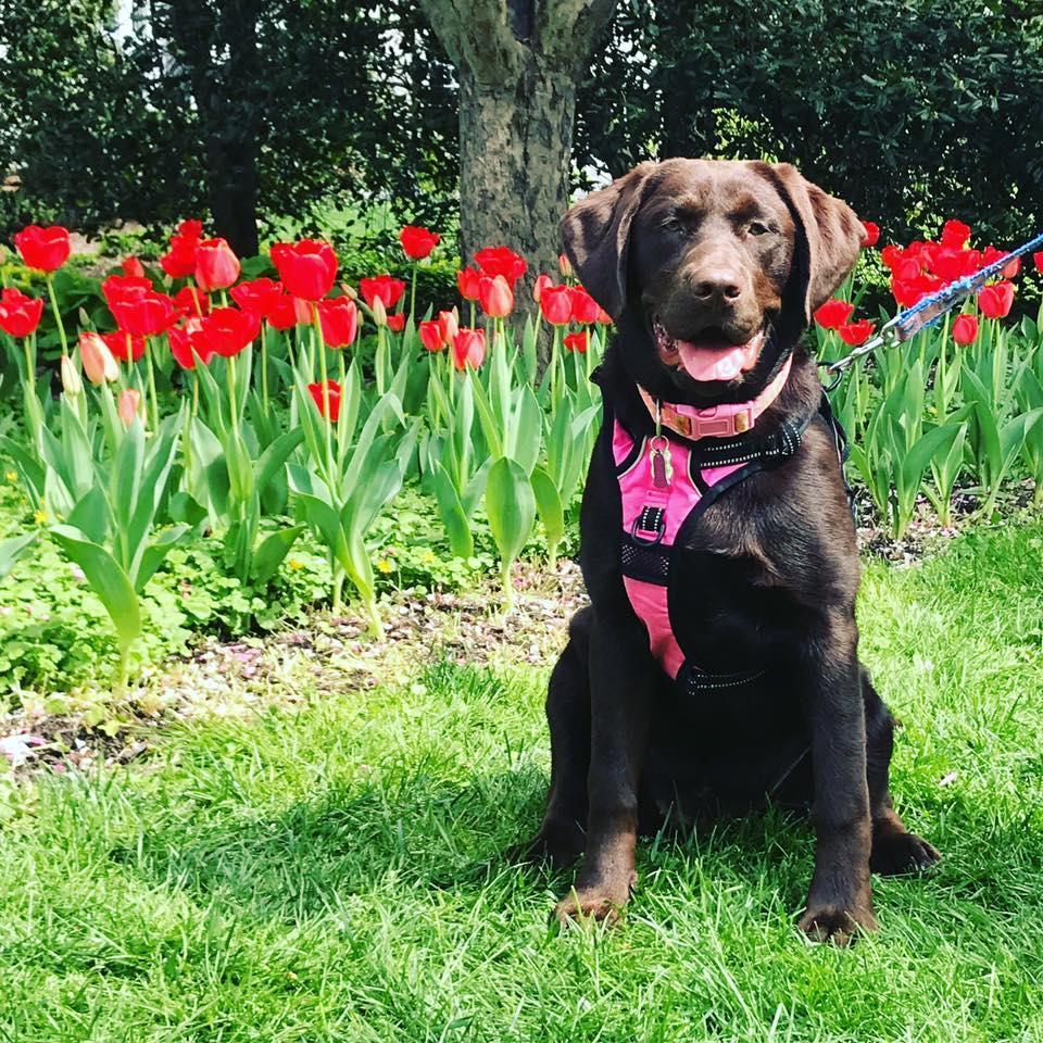 Of course we had to add our furbaby on here!