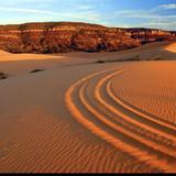 Coral Pink Sand Dunes State Park