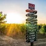 Lodi Wine Tasting