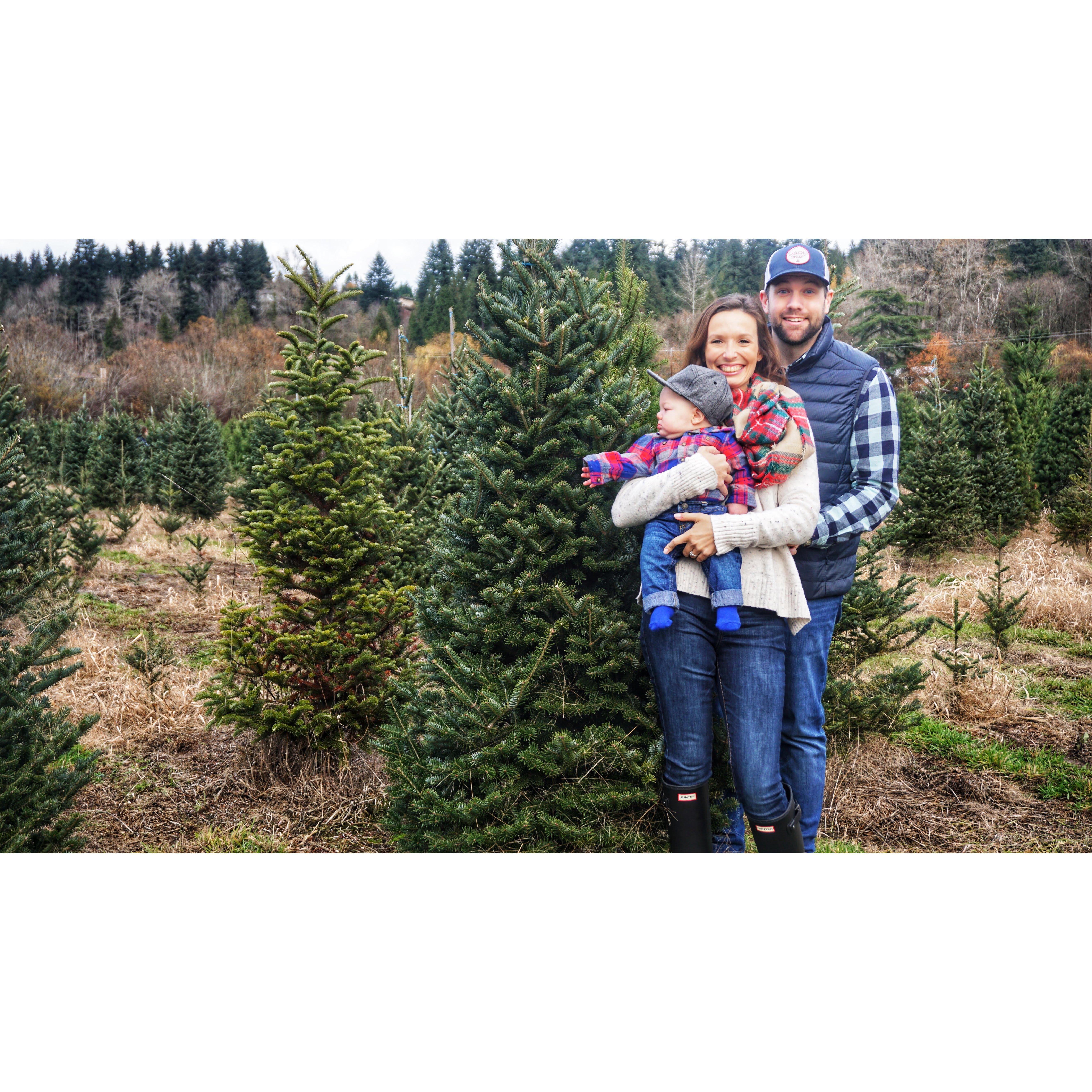 Hunters First Christmas Tree - Nov 2018