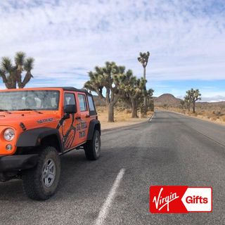 Joshua Tree Driving Tour for 2 - Palm Desert