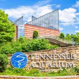 Tennessee Aquarium