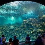 Seattle Aquarium