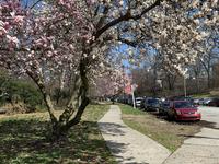 Schuylkill River Trail