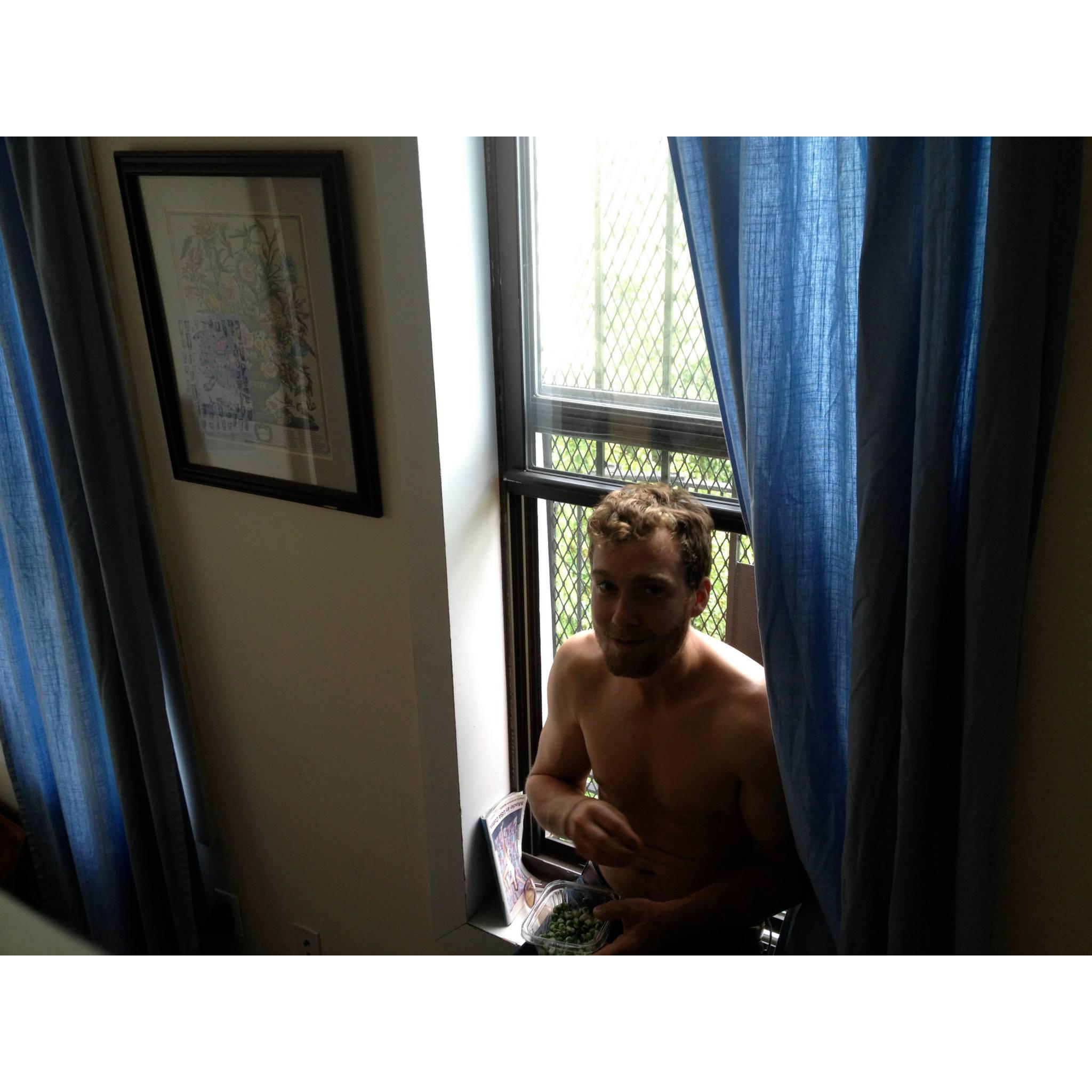 My wasabi pea-- Bushwick apartment, 2013