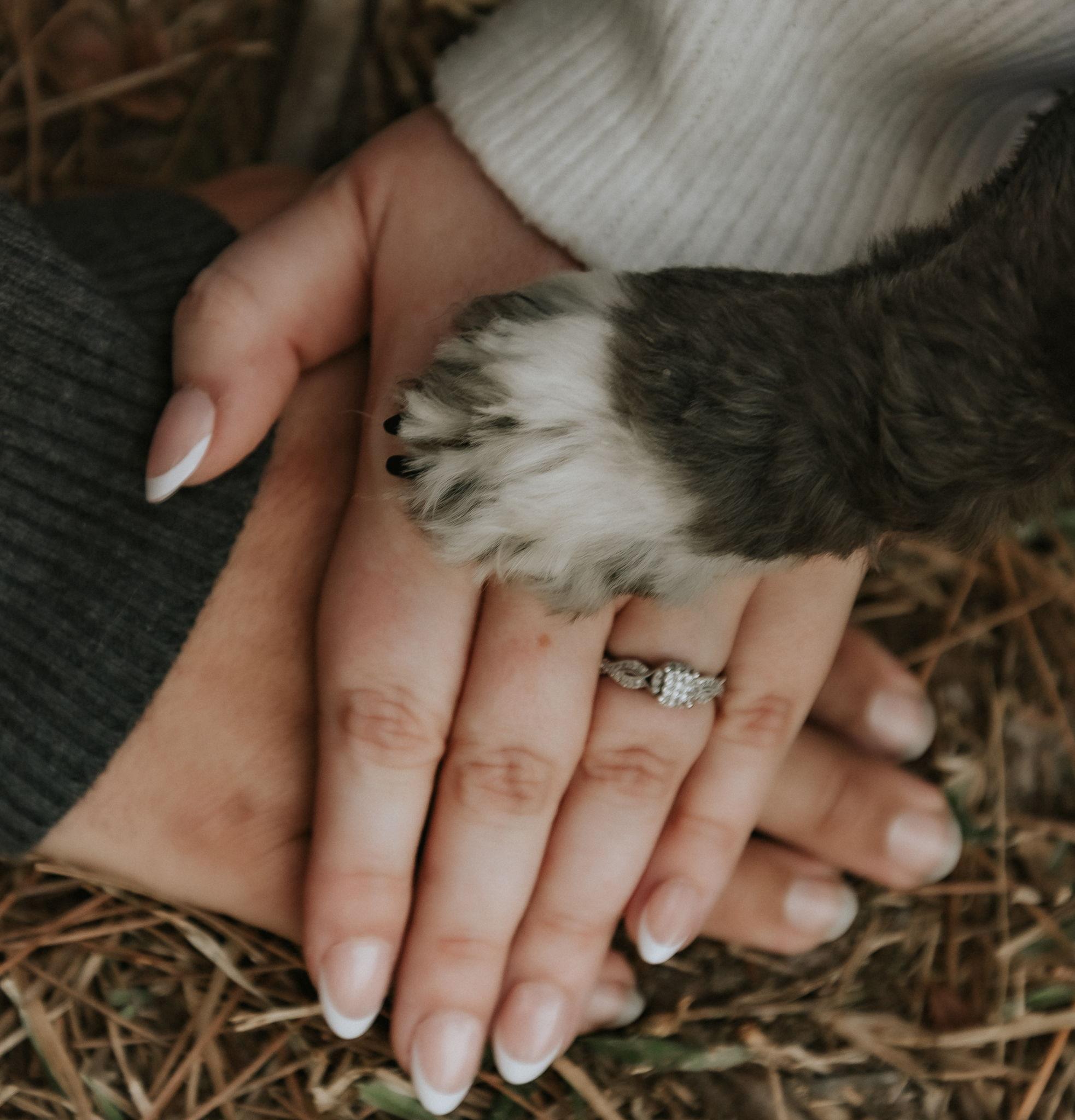 The Wedding Website of Aubrey Rigney and Travis Day