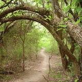 Erwin Park
