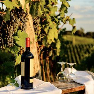 Anniversary bottle of Brunello from Montalcino