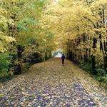 Monon Trail
