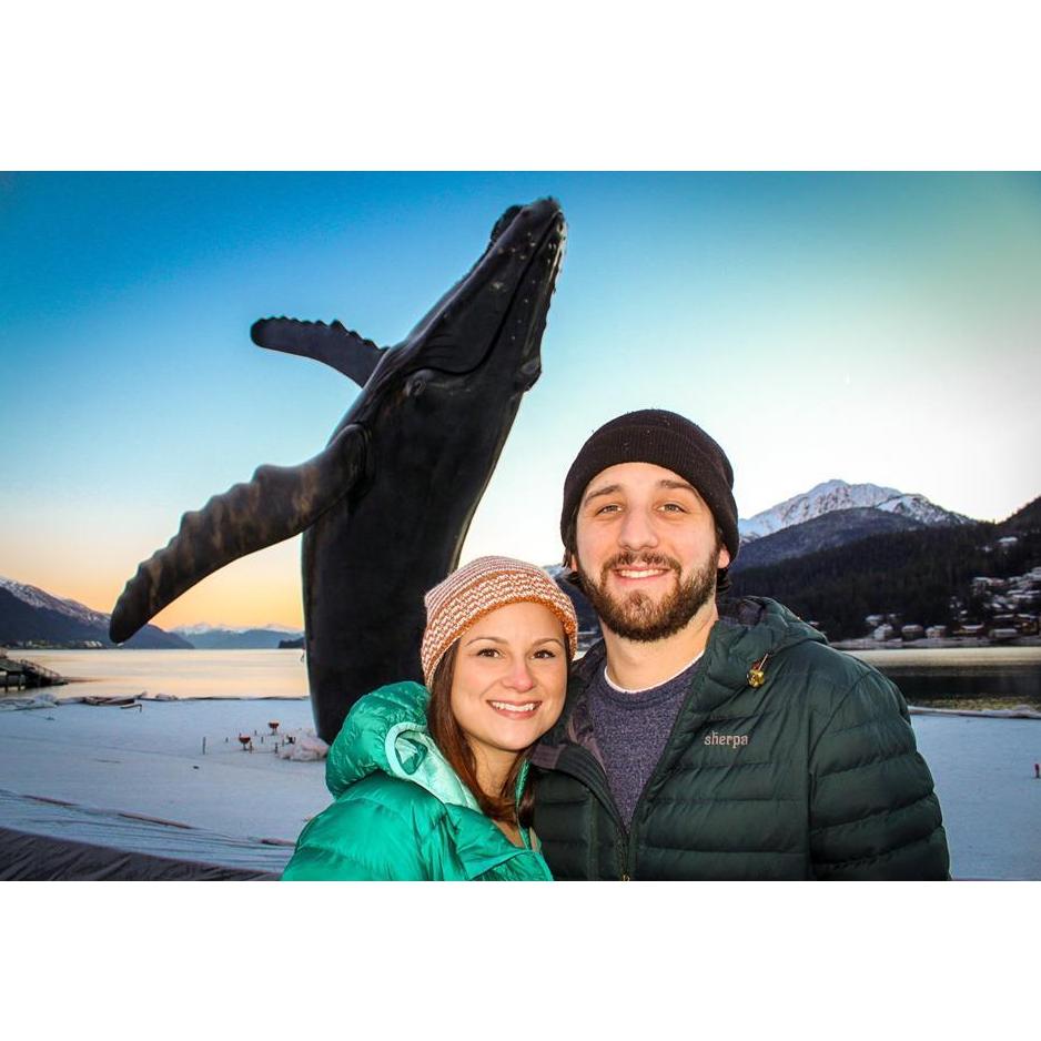 Whale Watching in downtown Juneau