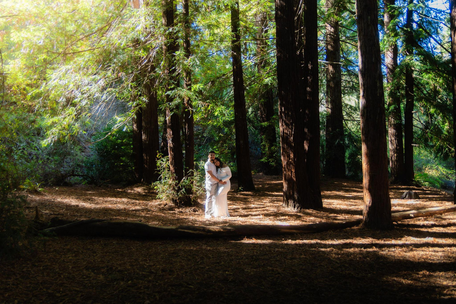The Wedding Website of Edgar Ortiz and Evelyn Ortiz