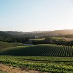 Opolo Vineyards