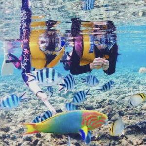 🪸 Snorkeling in Okinawa